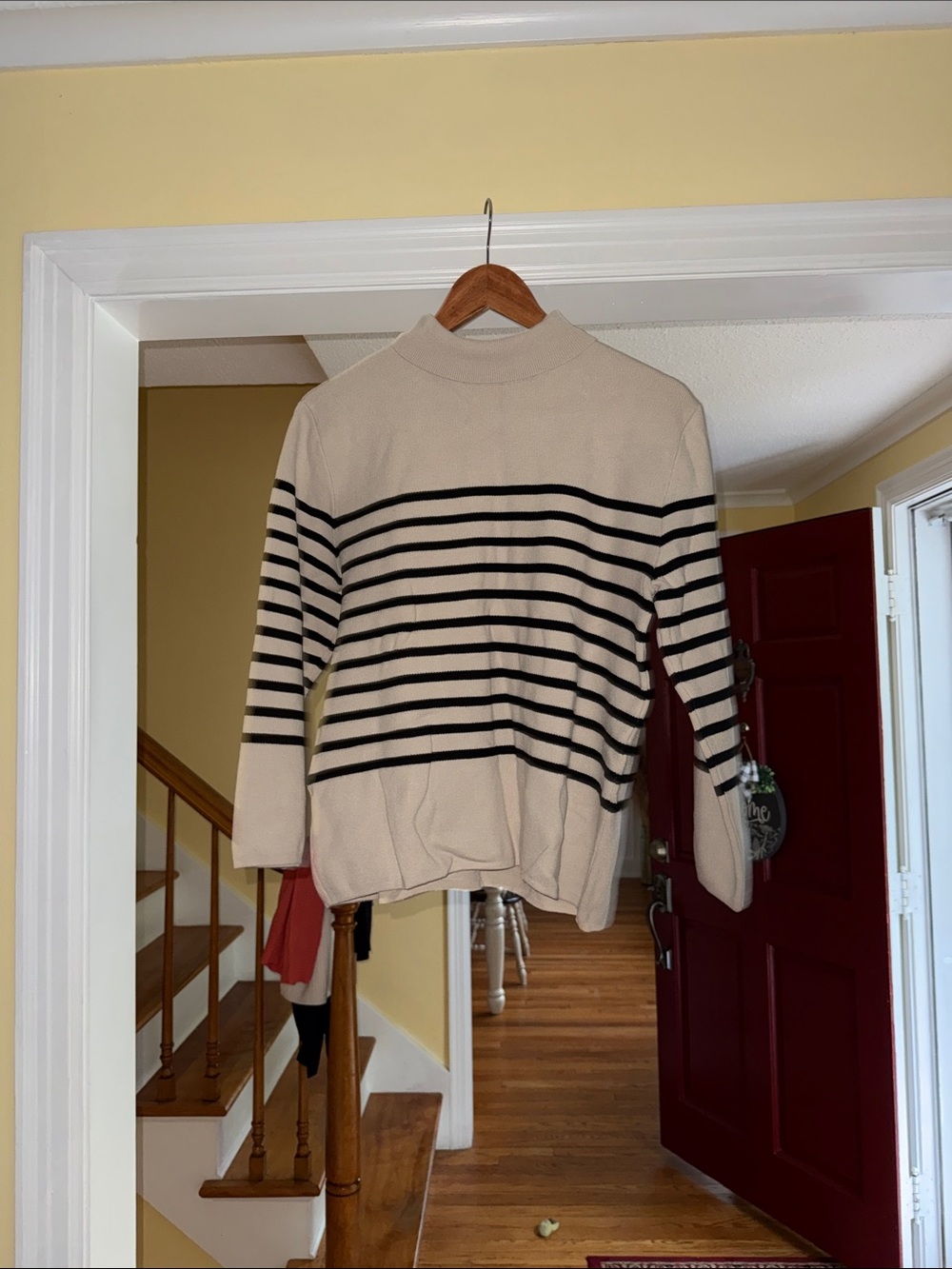 H&M Cream and Black Striped Turtleneck Sweater